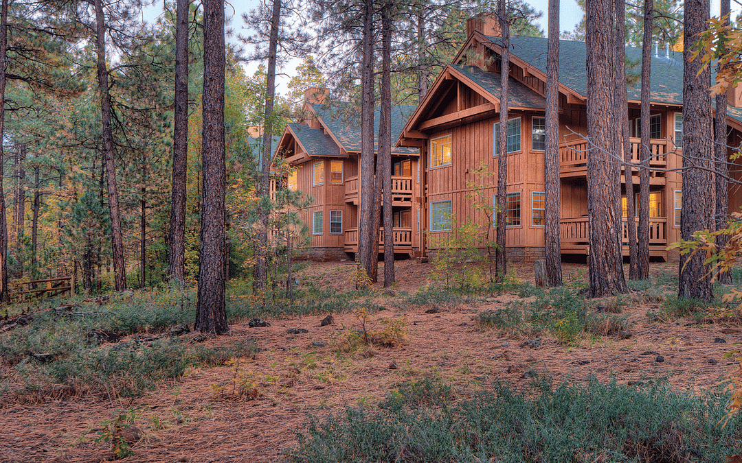 Pinetop